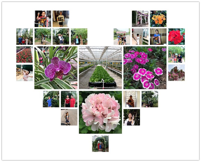 GGPoker��(�й���½)Ψһ�ٷ���վ